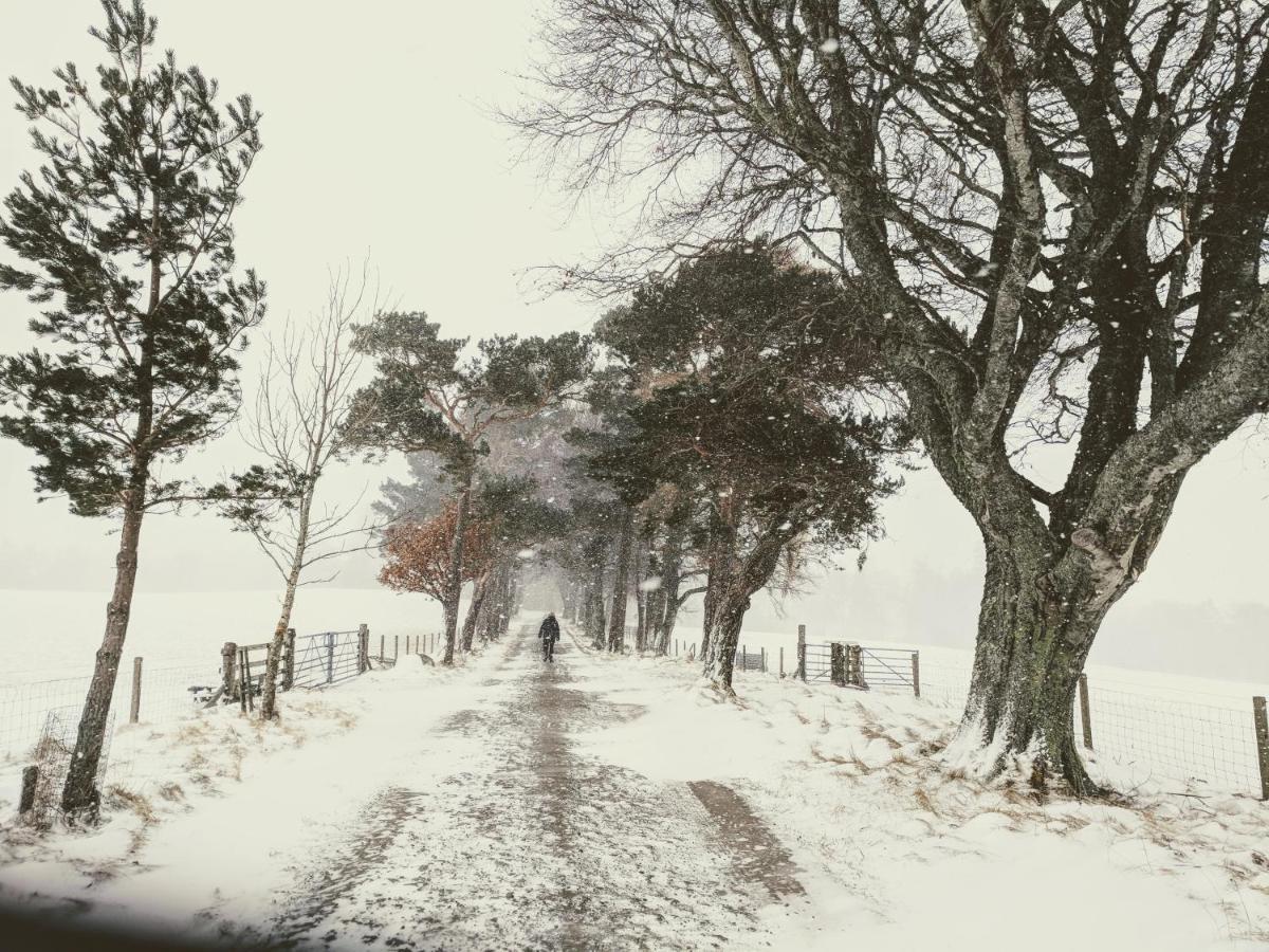 Glentruim Homestay B&B And Glamping Pods Newtonmore Kültér fotó