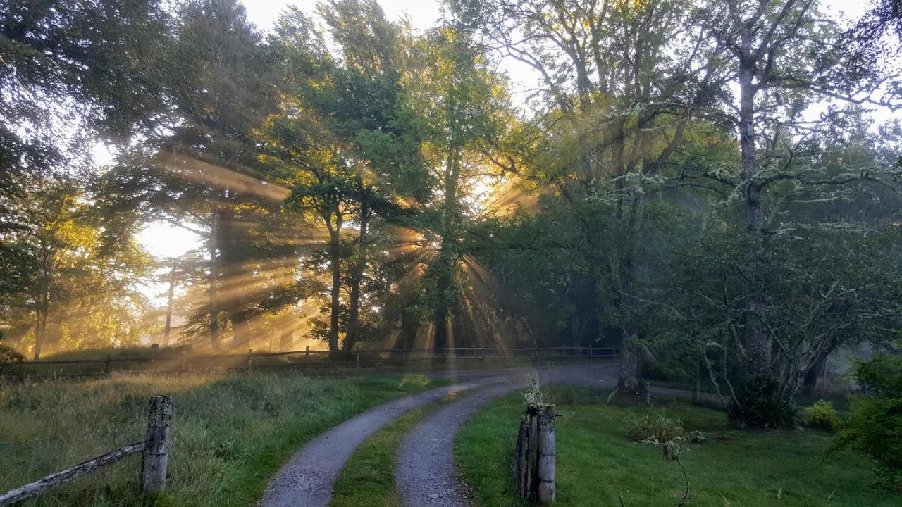Glentruim Homestay B&B And Glamping Pods Newtonmore Kültér fotó